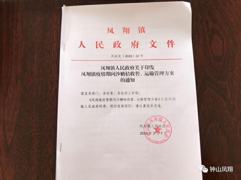 措美縣康復事業(yè)單位人事任命，推動康復事業(yè)發(fā)展的新生力量
