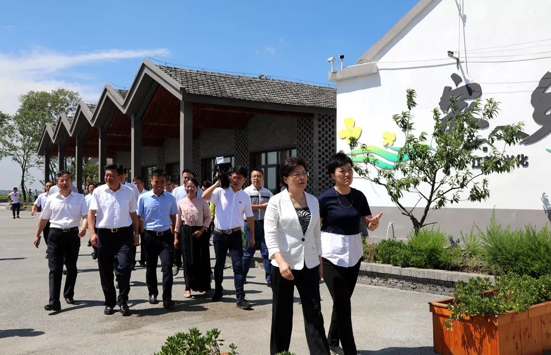 池金村民委員會(huì)啟動(dòng)振興鄉(xiāng)村項(xiàng)目，共創(chuàng)美好未來