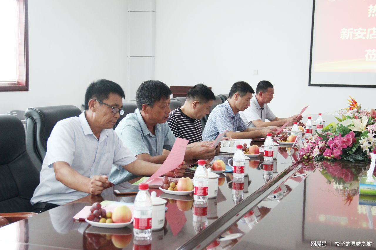 河南店鎮(zhèn)領(lǐng)導(dǎo)團(tuán)隊引領(lǐng)未來，共筑輝煌新篇章