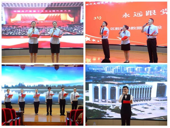 潁州區(qū)數(shù)據(jù)和政務(wù)服務(wù)局招聘啟事概覽