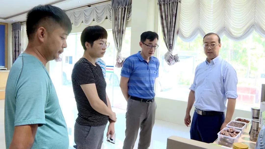 下寨村民委員會(huì)發(fā)展規(guī)劃概覽，未來(lái)藍(lán)圖揭秘